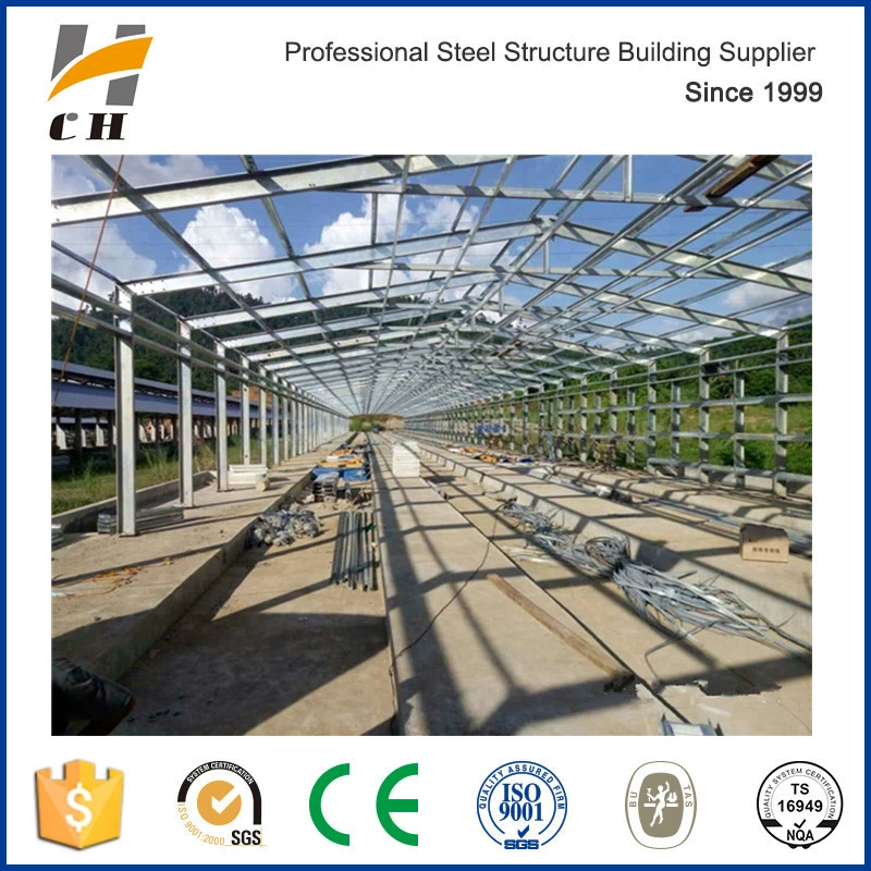 Poultry Chicken Shed/Farm/House Steel Roof Construction Structures