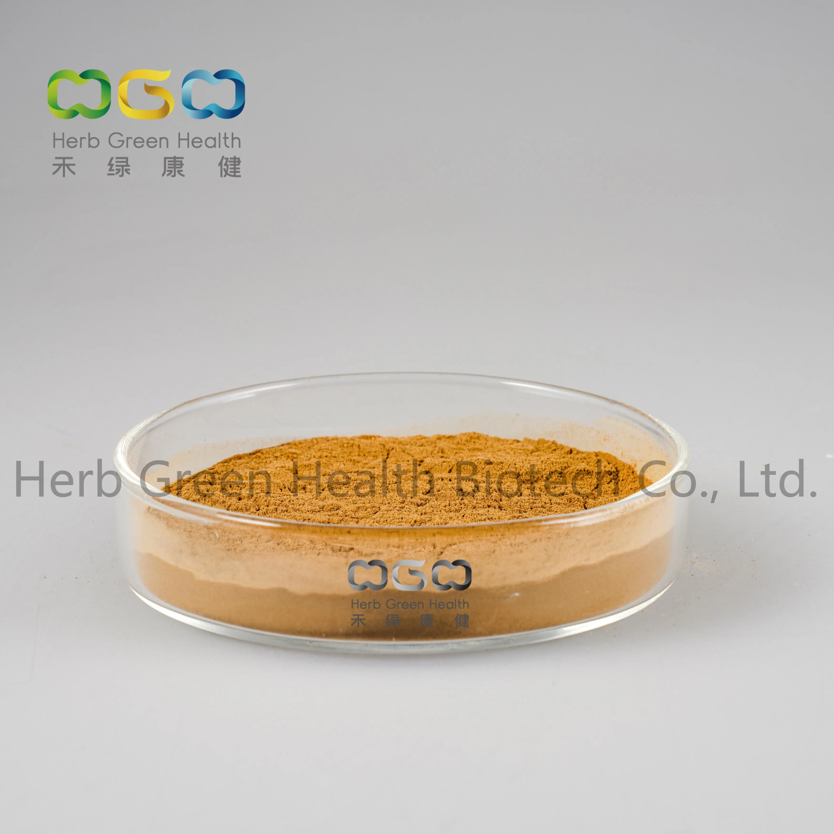 Natural Healthcare Fermentation Cordyceps Mycelium Extract Adenosine Powder