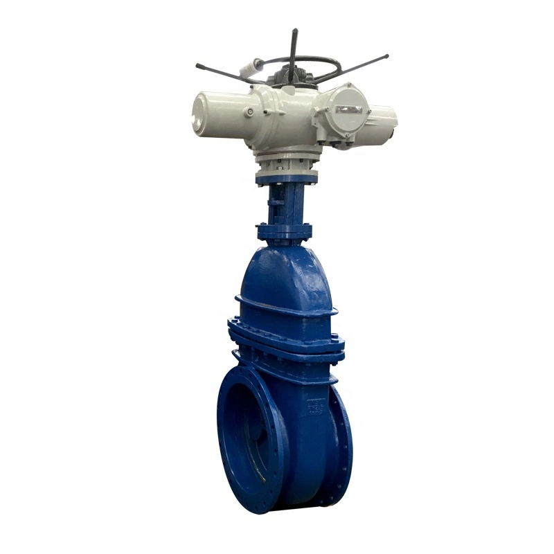 Cast Steel BS5163 Rising Stem BS En1092 En558-1 Electrical Actuatoe Gate Valve