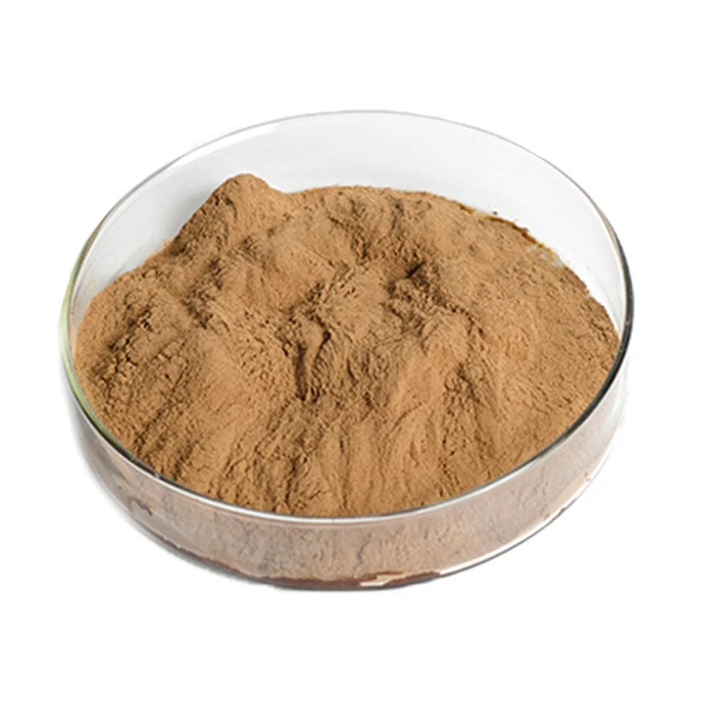 SOST Wholesale/Supplier Dried Shiitake Mushroom Spawn Extract Powder