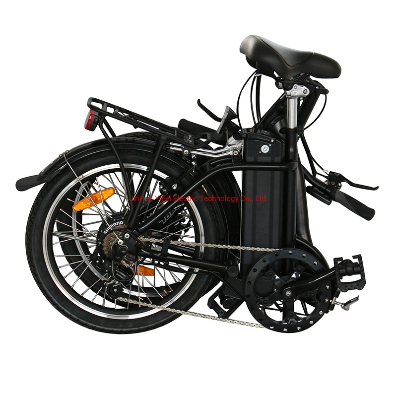 TUV CE Approval Electric Lady Bike Snow Ebike Electric Bicycle