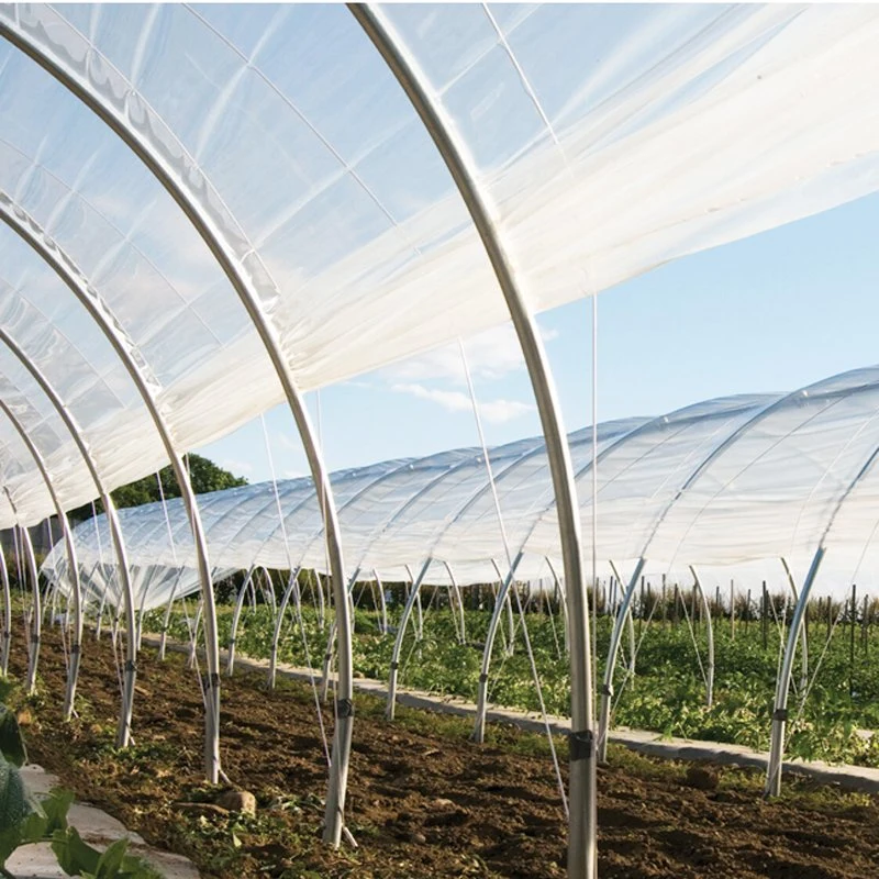 200 Micron Plastic Greenhouse Covering Film