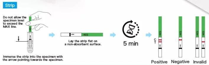 Hohe Genauigkeit 1-Schritt-Kolloidal Gold Rapid Test Strip HCG Schwangerschaftstest