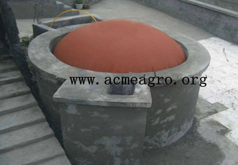 Portable Biogas Storage Digester Price