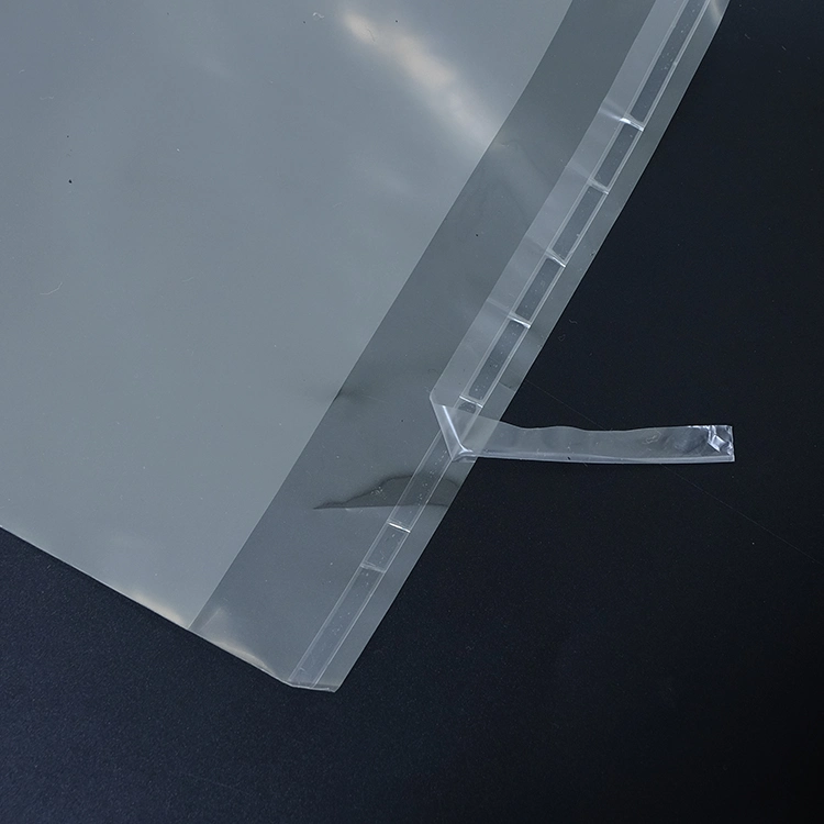 Customized Various Size Plastic Packaging Bag Self-Adhesive Resealable Bag with Punch Hole