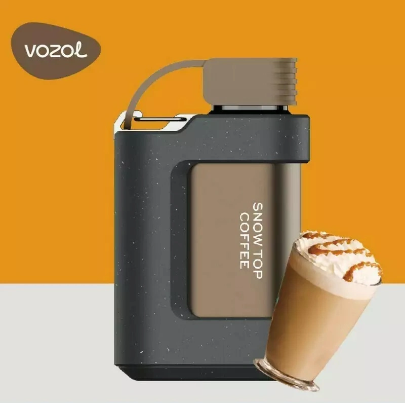 Europe USA UAE Well-Known Brand Vozol Disposable Vape Pod Gear 5000 7000 10000 Puffs Alien 2500 4000 Star Vixn Sopro 15K Wholesale I Vape