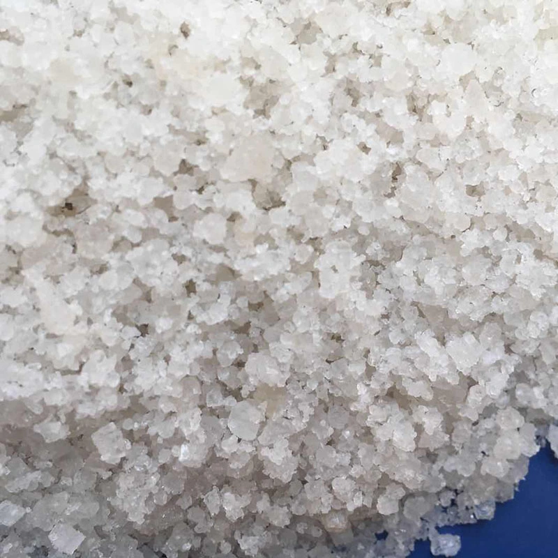 Factory Direct Selling Coarse Edible Salt for Wholesale/Supplier