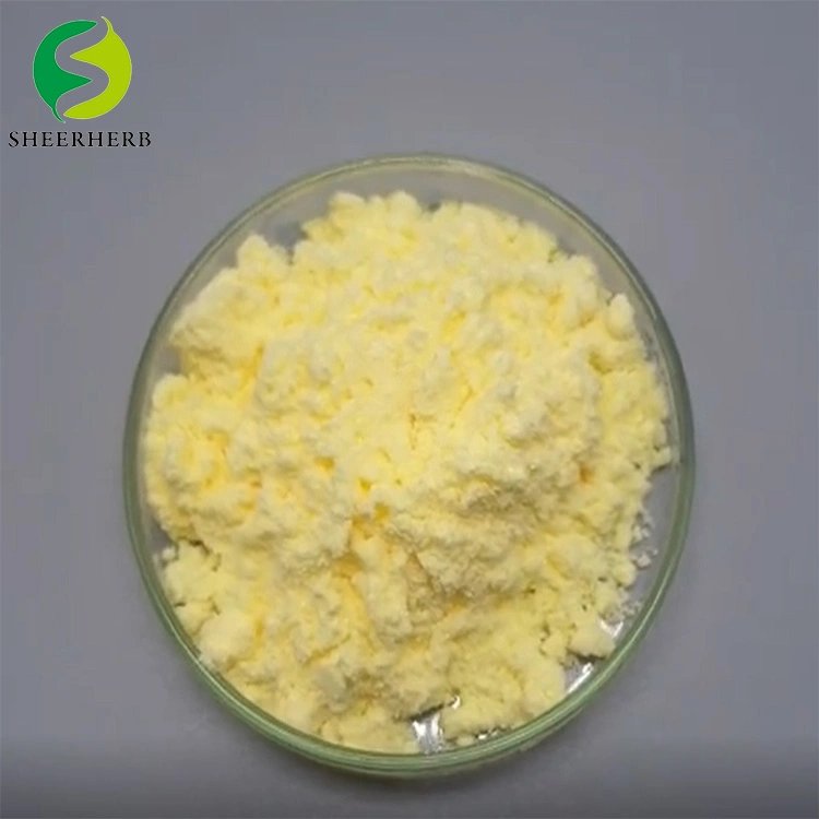 OEM Sheerherb Manufacturers Supply Alpha Lipoic Acid Powder CAS 1077-28-7 Lipoic Acid