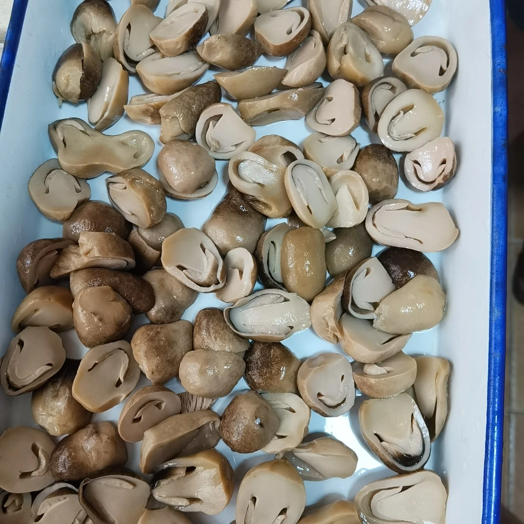 Canned Straw Mushroom Unpeeled in Half