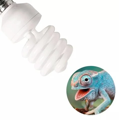 E27/E26 Spezial Glasröhre Leuchtstofflampe Energiesparlampe UVB Lampe für Reptile