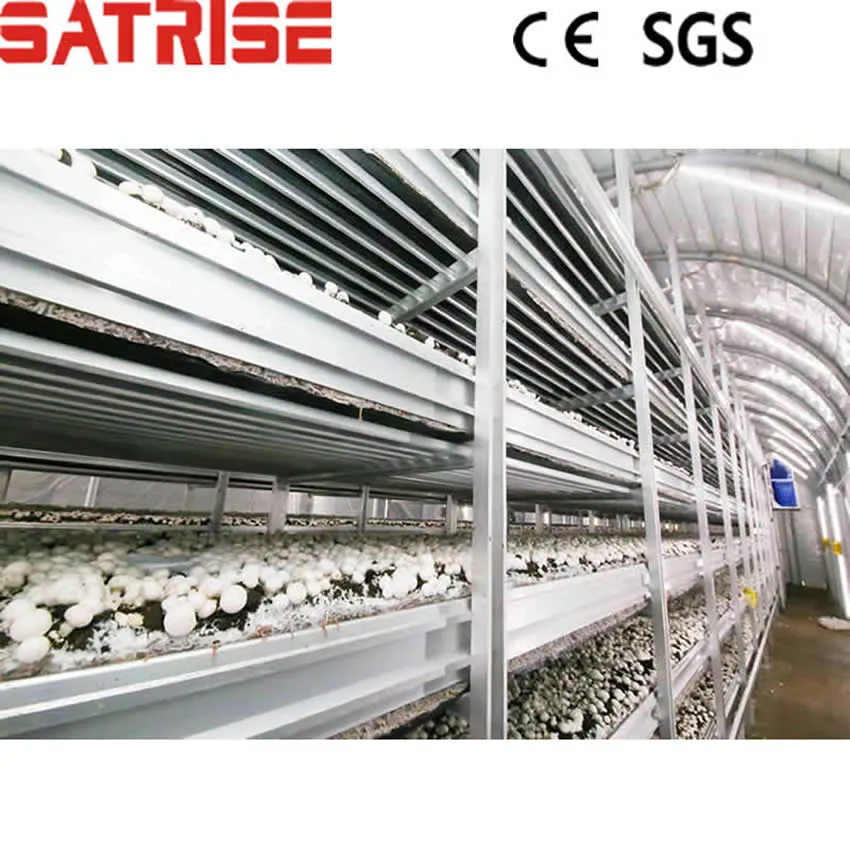 Botón de la galvanización reutilizables Satrise Mushroom estante creciente