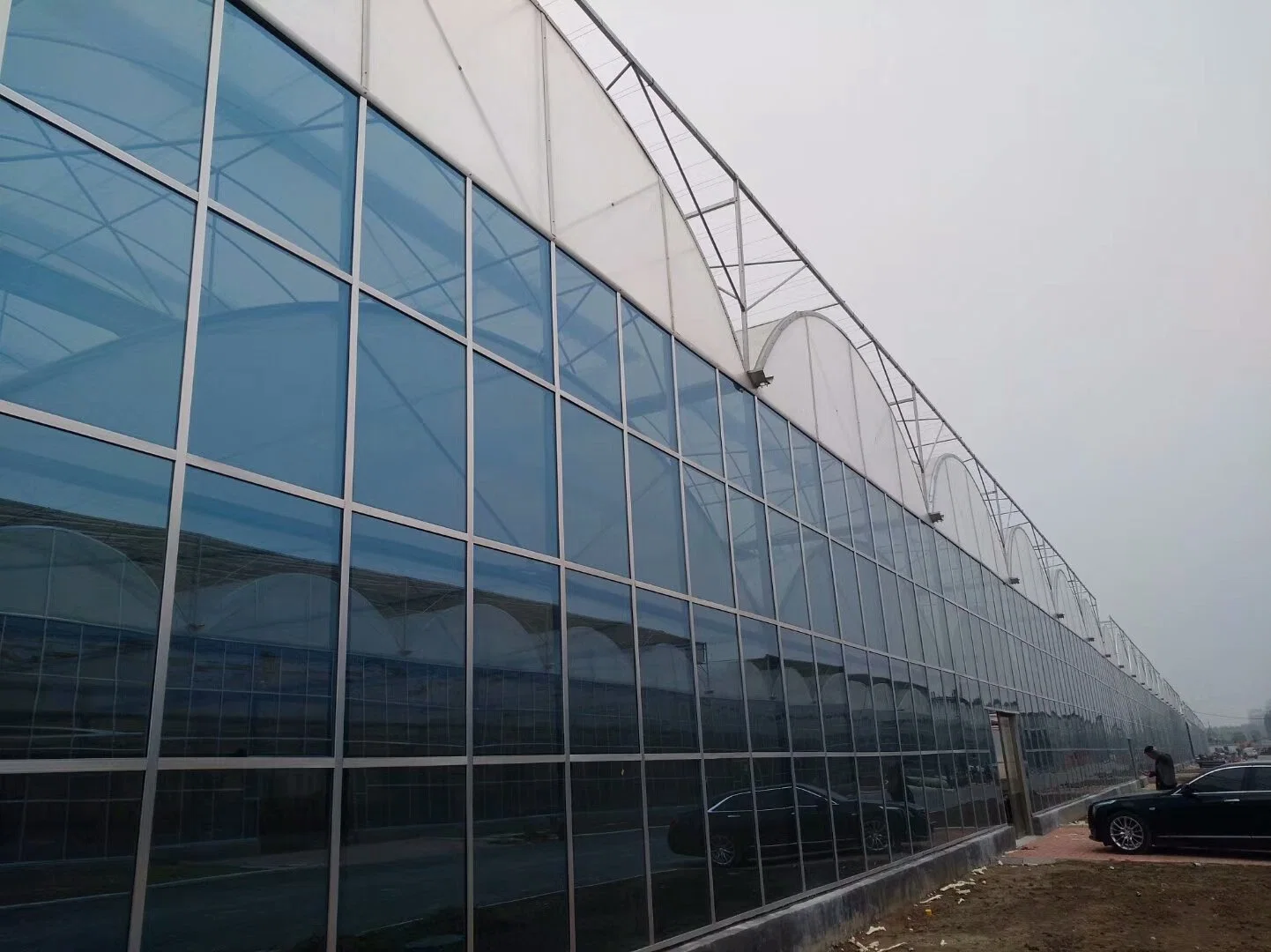 High quality/High cost performance  Custom Poly Tunnel Multi Span Galvanized Steel Tube Frame Green House