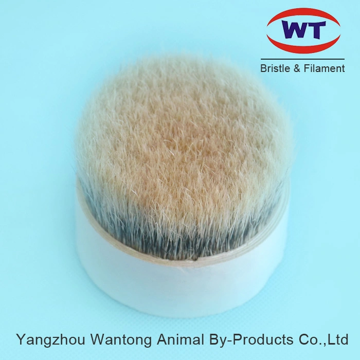 High quality/High cost performance  Chungking Natural Black Pig's Bristles