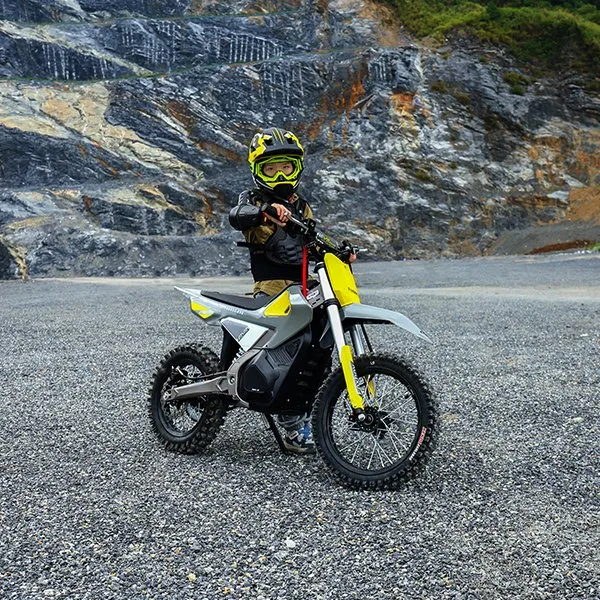 Foxboy LG batería de litio 45km/H bicicleta de tierra eléctrica para niños