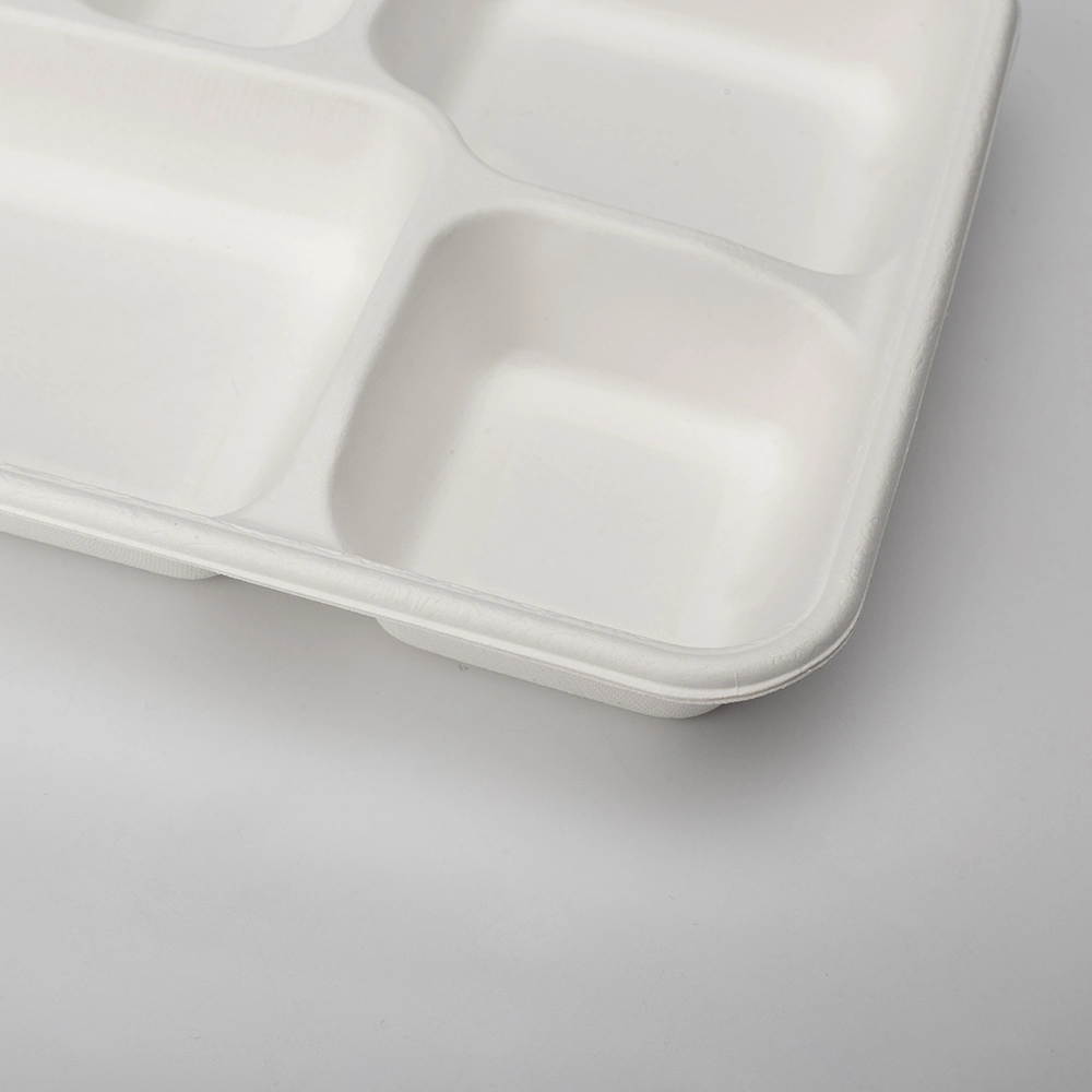 100% Compostable 5 Compartment Plates Disposable Paper Plate Eco-Friendly Disposable Sugarcane 10 Inch Bagasse School Lunch Tray