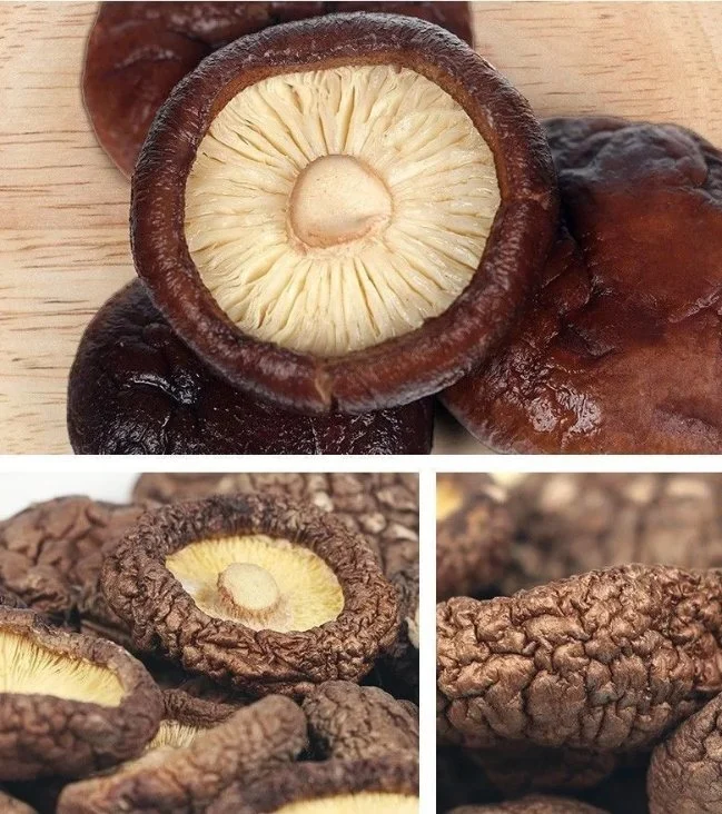 Image de marque OEM chinois de gros champignons shiitake séchés en vrac