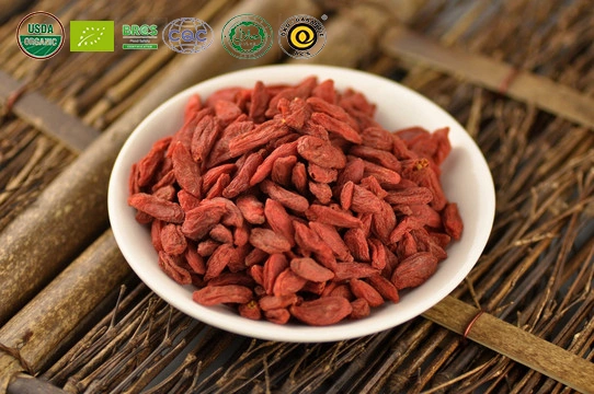 Las Bayas de Goji rojo desecado natural China comida saludable de la planta orgánica