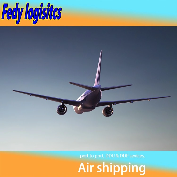 Bester Versanddienstleister China nach USA/Katar/Marokko/Ghana/Kenia FedEx/UPS/TNT/DHL Express Delivery Service Logistik Spediteur Export Luftfracht / Sea DDP