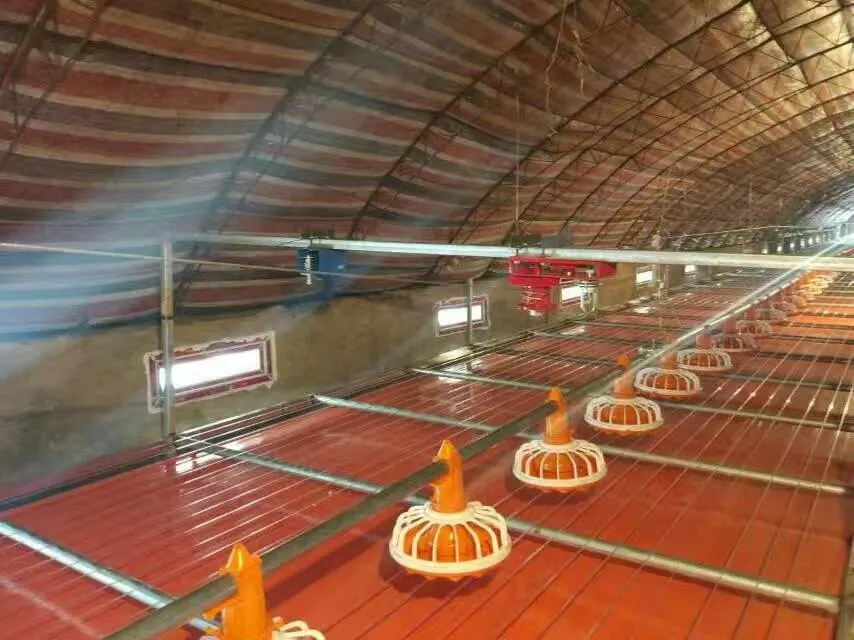 Automatic Chicken Drinking and Feeding System for Poultry House /Livestock Farms