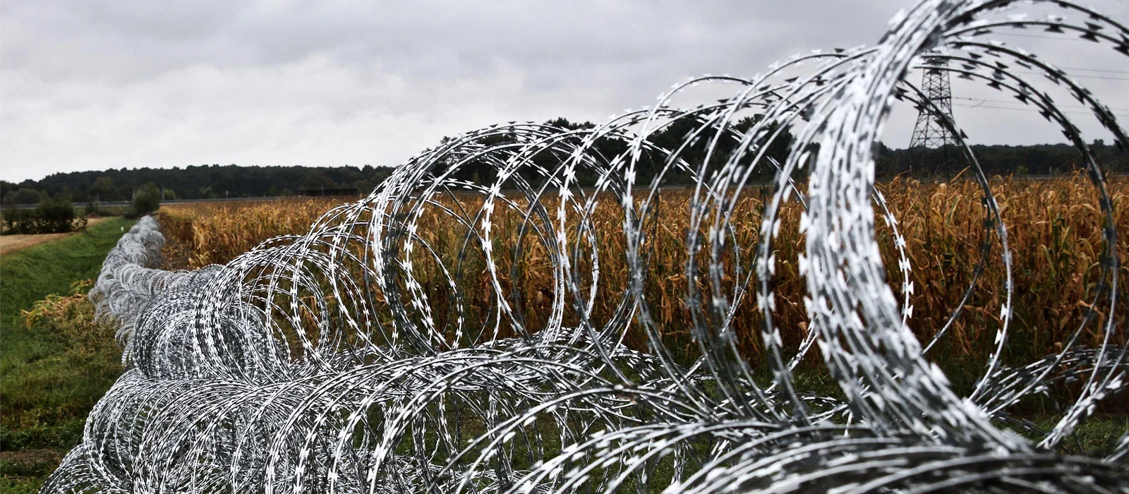 Stainless Steel Concertina Wire Border Barrier