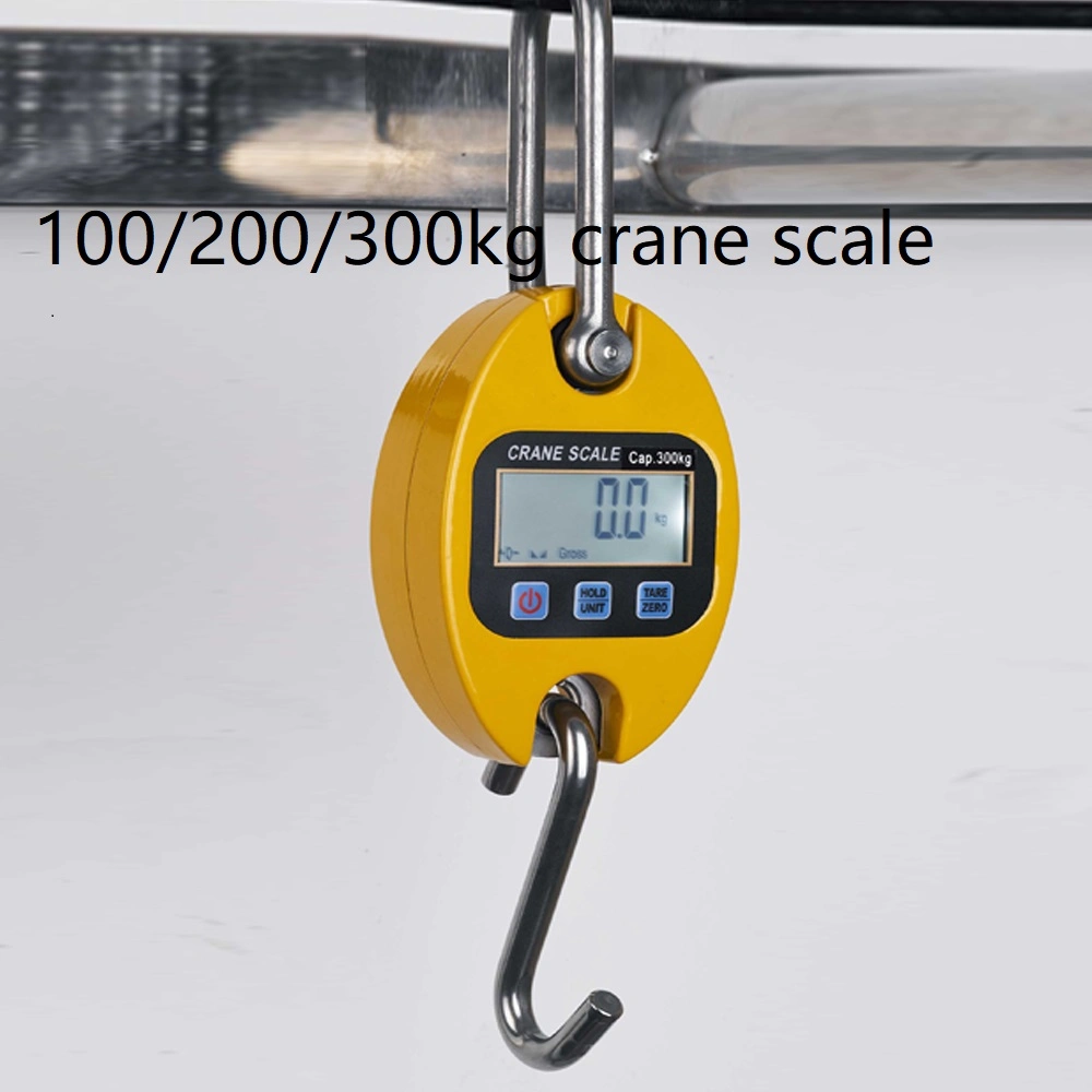 China Manufacturer 100kg 300kg 500kg Weighing Crane Professional Mini Digital Scale