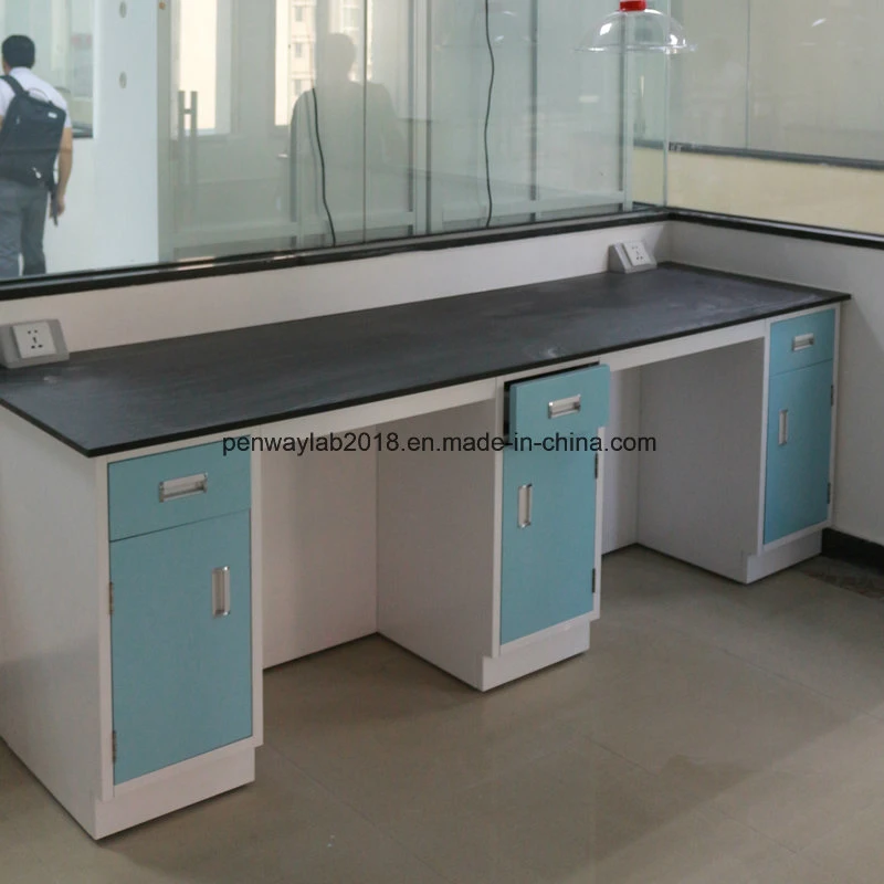 Stainless Steel Painted Steel MDF Material Laboratory Furniture