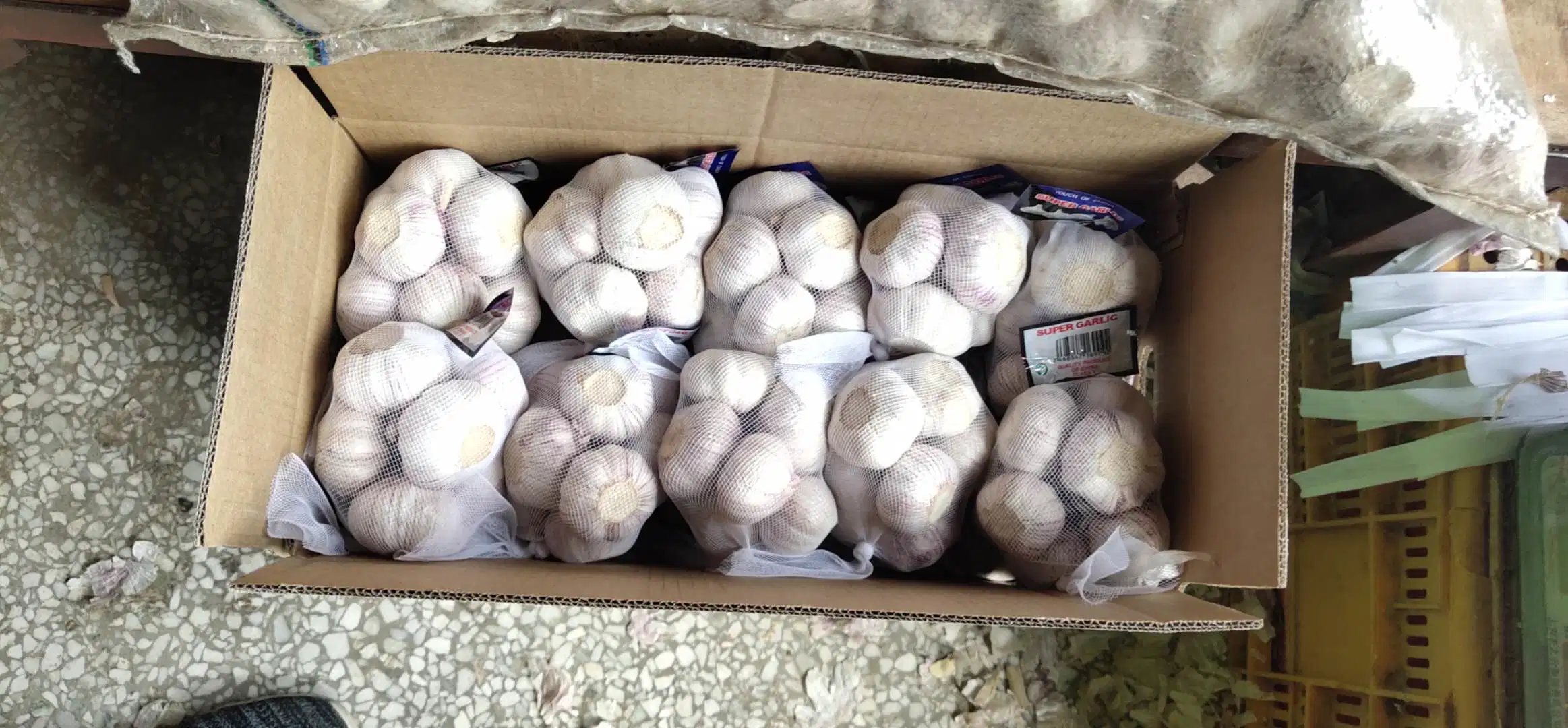 Shandong Jinxiang Good Quality Normal White Garlic Pure White Garlic