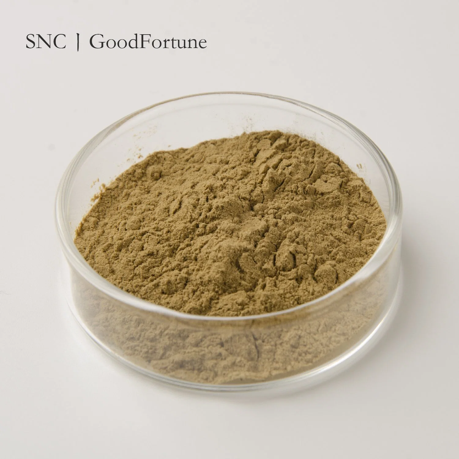 Herbal Food Supplements Plant Extract CAS. 8008-88-6 Valerian Extract 0.8%