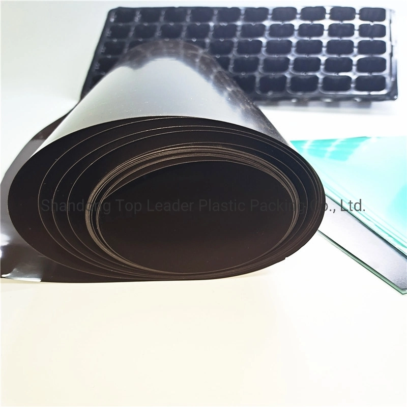 HIPS Refrigerator Sheet PVC Plastic Rigid Colorful Transparent Rigid Sheet Films for Packing