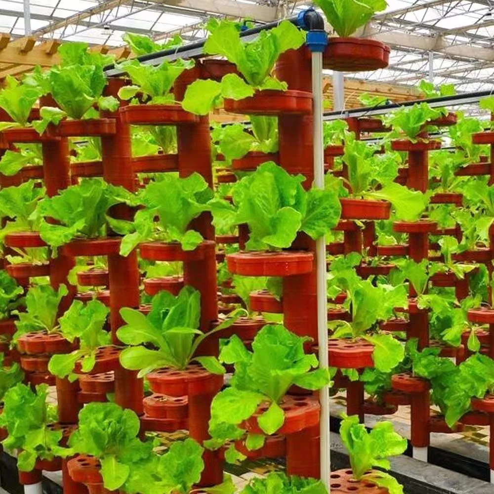 Tunnel/Venlo Greenhouse with Fan/Boiler/Hydroponic Pump Pipe/Fix Move Seedbed/Wet Curtain for Cherry Fruit