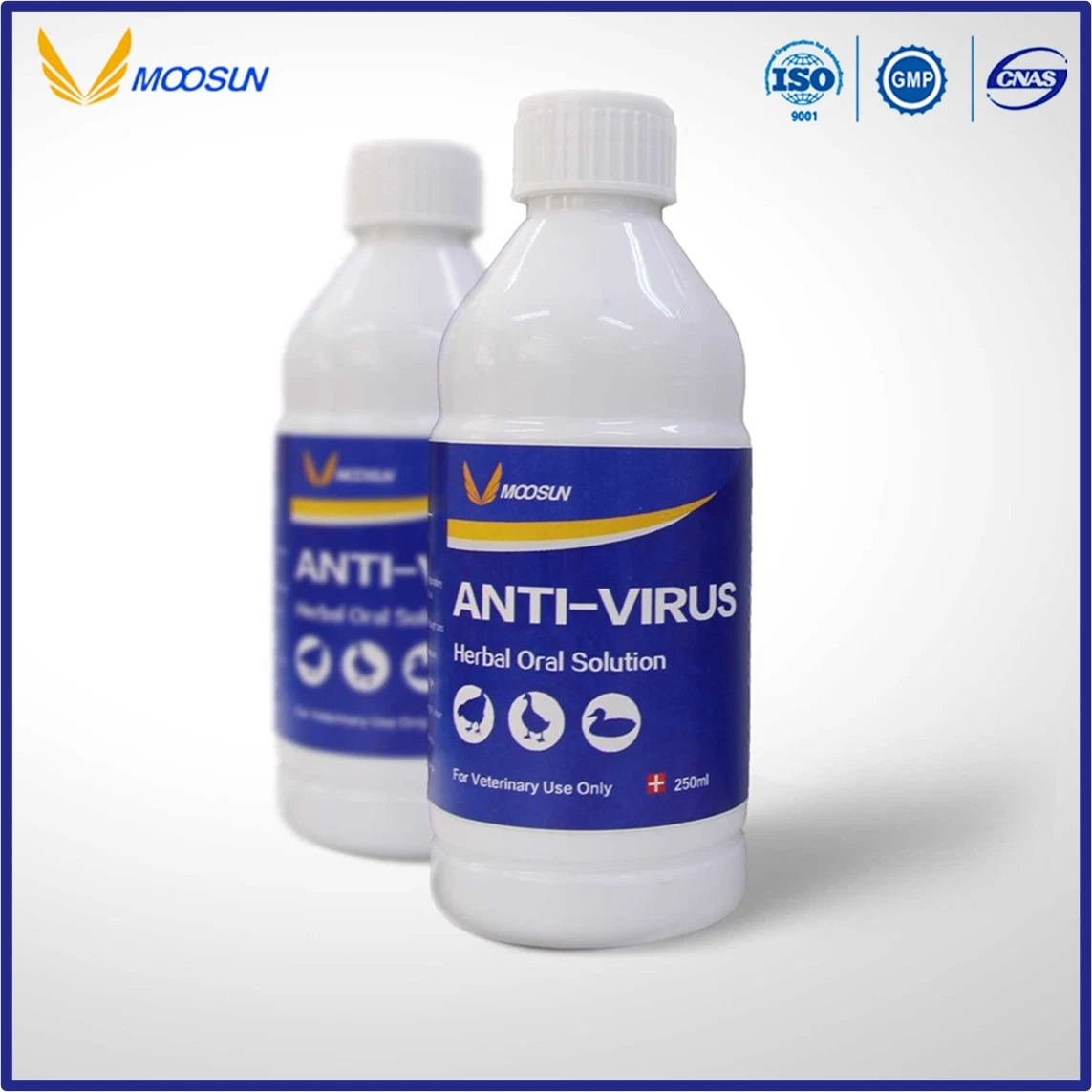 Herbal Extracts Veterinary Drug Anti-Virus Herbal Oral Solution with GMP, ISO