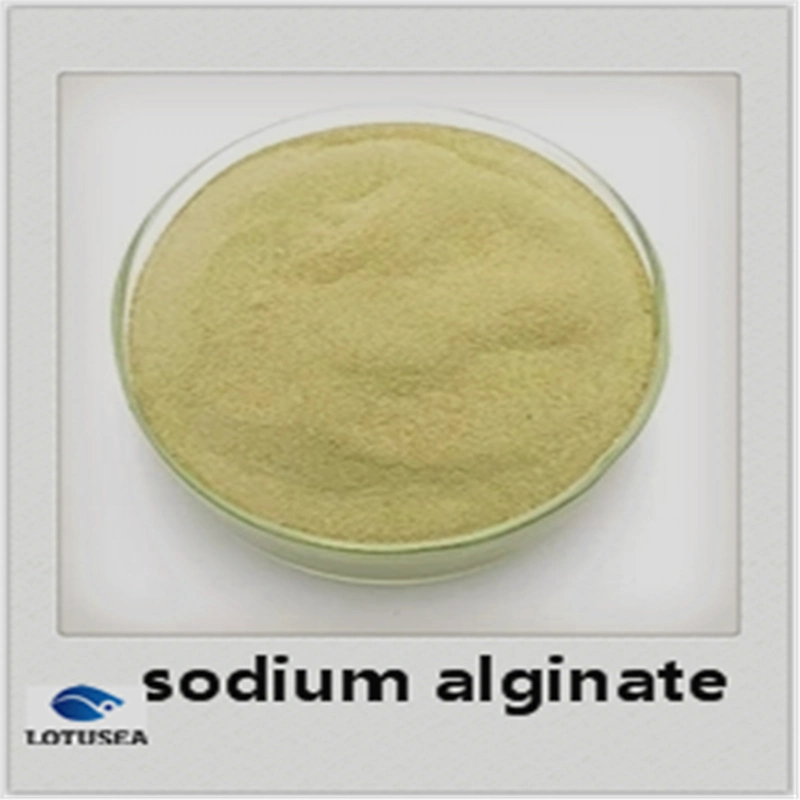 200mesh Industrial Sodium Alginate 6000cps for Textile Grade