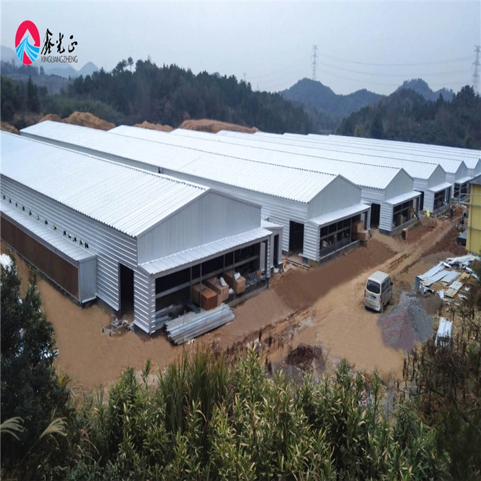 Steel Structure Chicken Poultry House with Feeding System