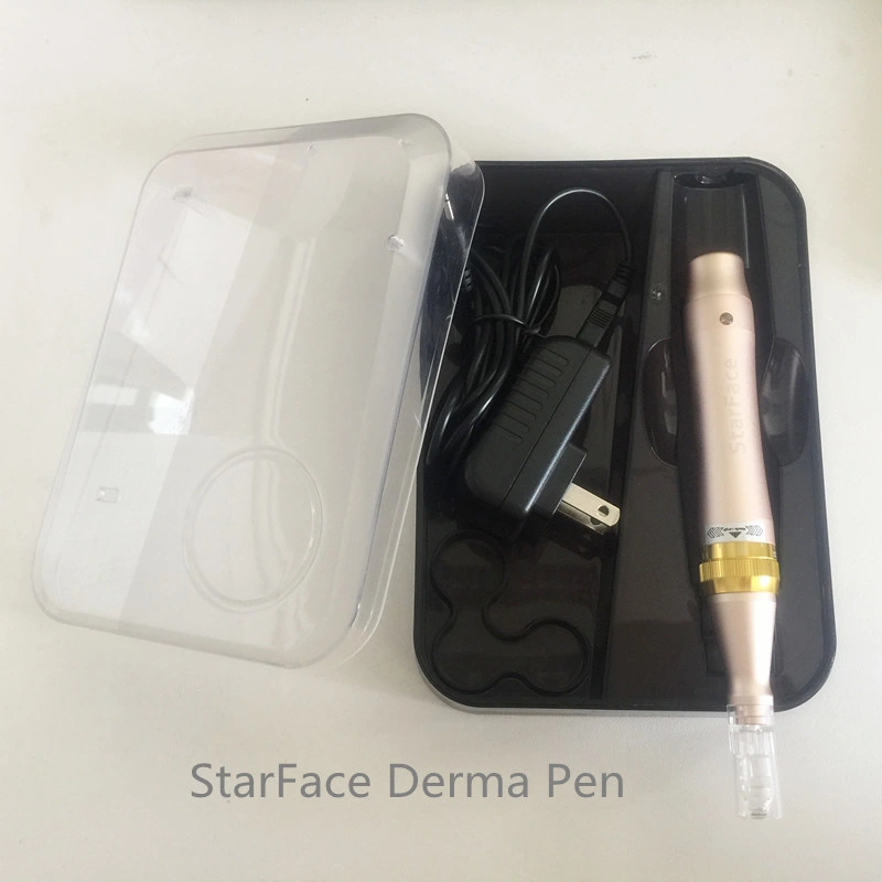 Top Advanced Chinese Rechargeable Home Use Derma Pen