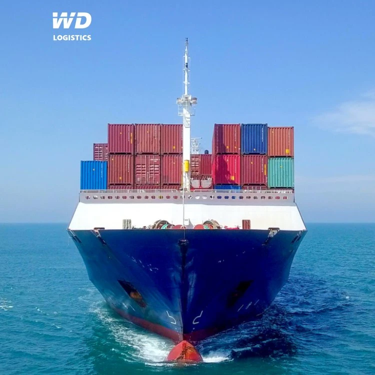 Cheap Sea Freight and Fast Shipping Agent LCL/FCL/Sea DDP Logistics Service From China to Africa