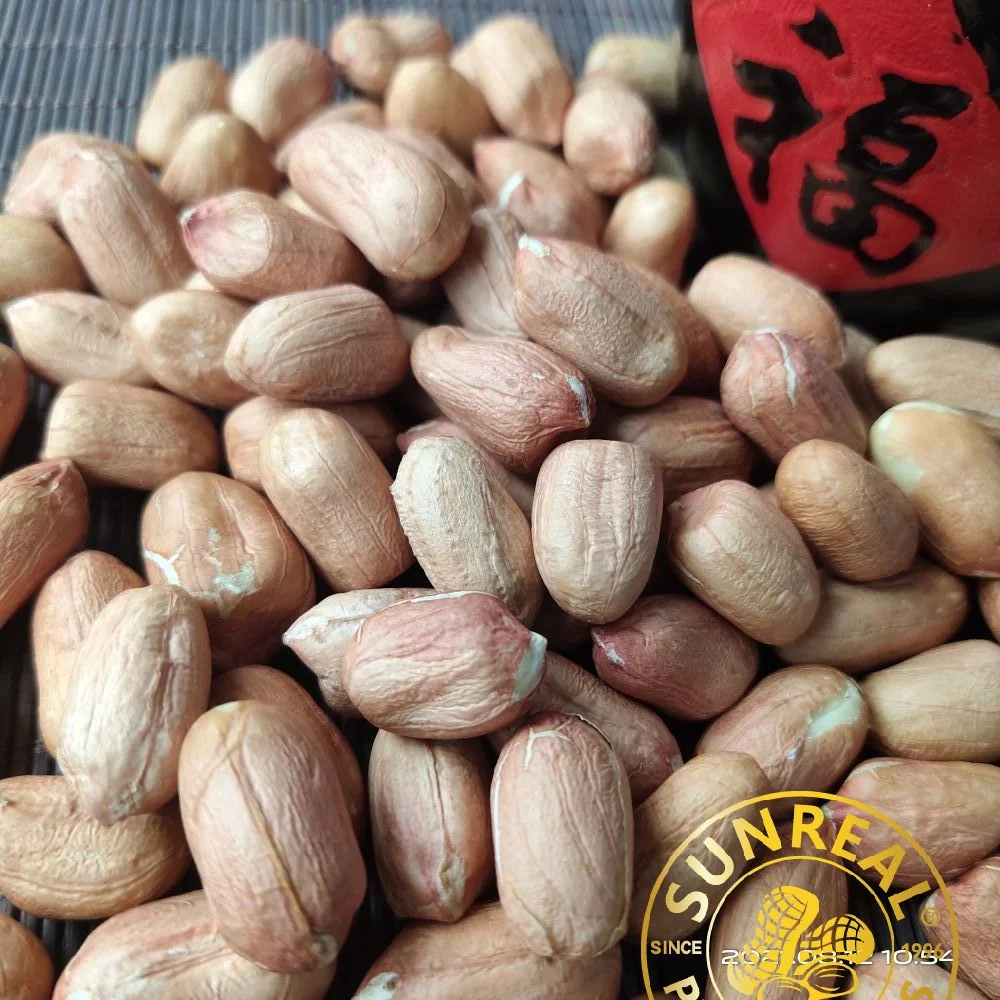 Raw Kernels Amendoim Virginia 24/28 China/Marca de Confiança/melhor qualidade