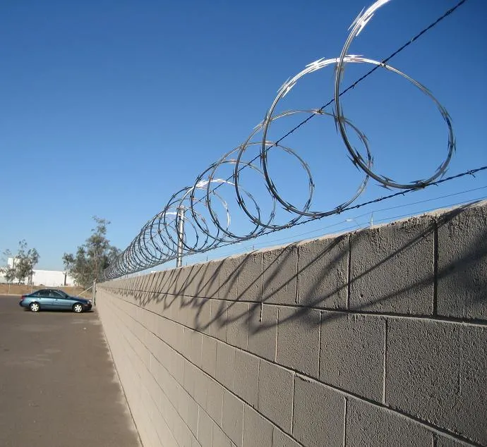 Cercado de alambre de barbed de la acorazada de la concertina / Productos de la seguridad