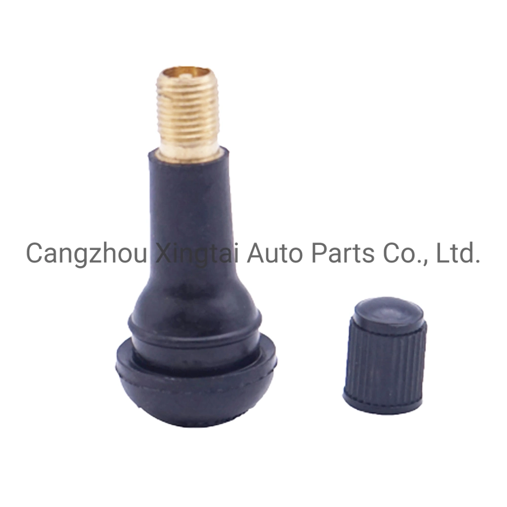 Tubeless Tyre Valve Tyre Nozzle Aluminum Tr414 Tire Valve for Car