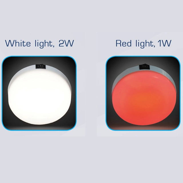 2W White Plastic Dual Voltage 12V-24VDC White & Red LEDs Economy RV Boat Marine LED Dome Light