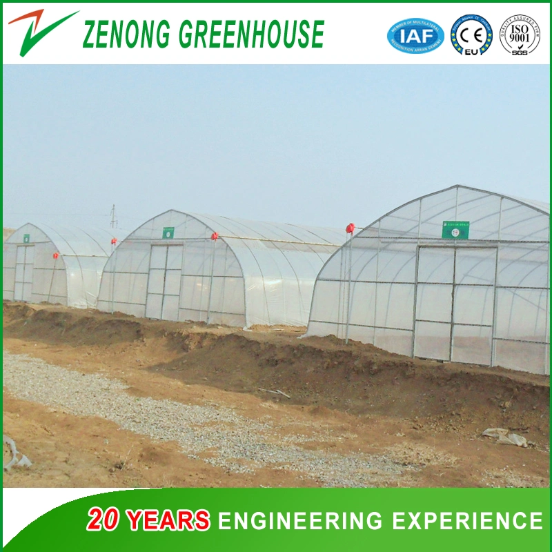 Commercial/Agricultural Single Span Film Greenhouse Welcomed by Greenhouse Market