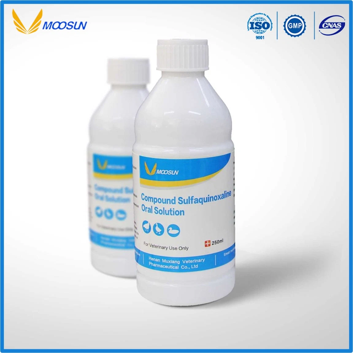 Veterinary Medicine Florfenicol Oral Solution 10% (Animals Use) ISO GMP