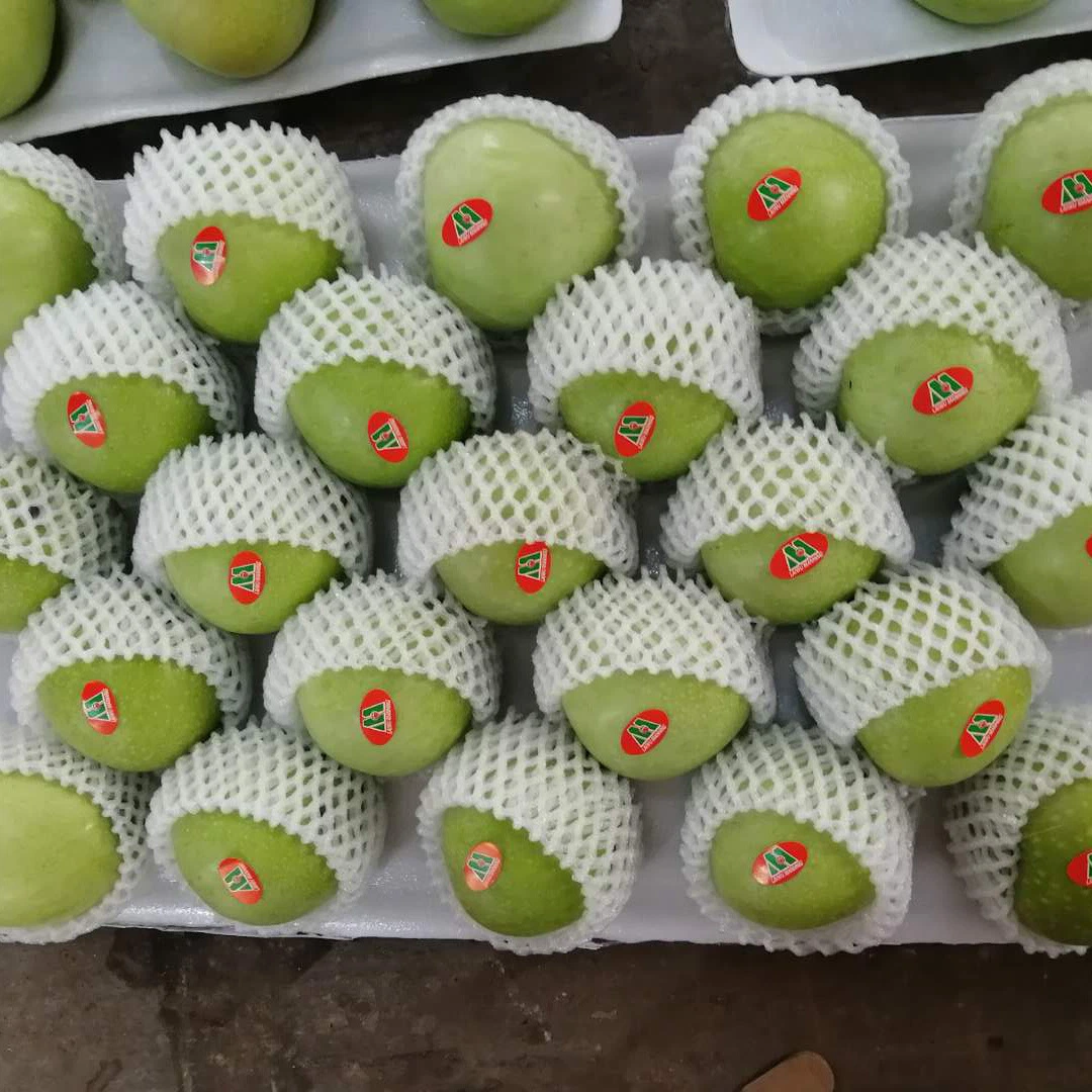 Dubai Market Green Apple