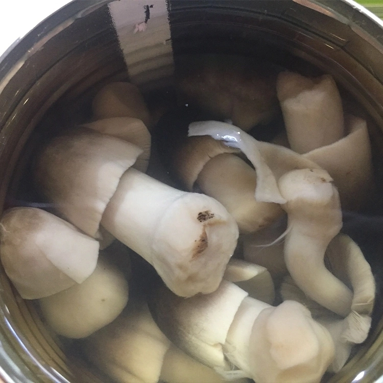 Fresh Vegetables Easy Open OEM Brand Wholesale/Supplier Canned Straw Mushroom