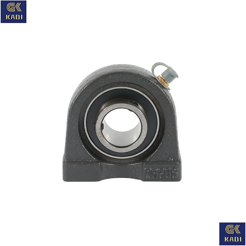 Ucpa213 Made in China Pillow Block Bearing with Housing Insert Bearing