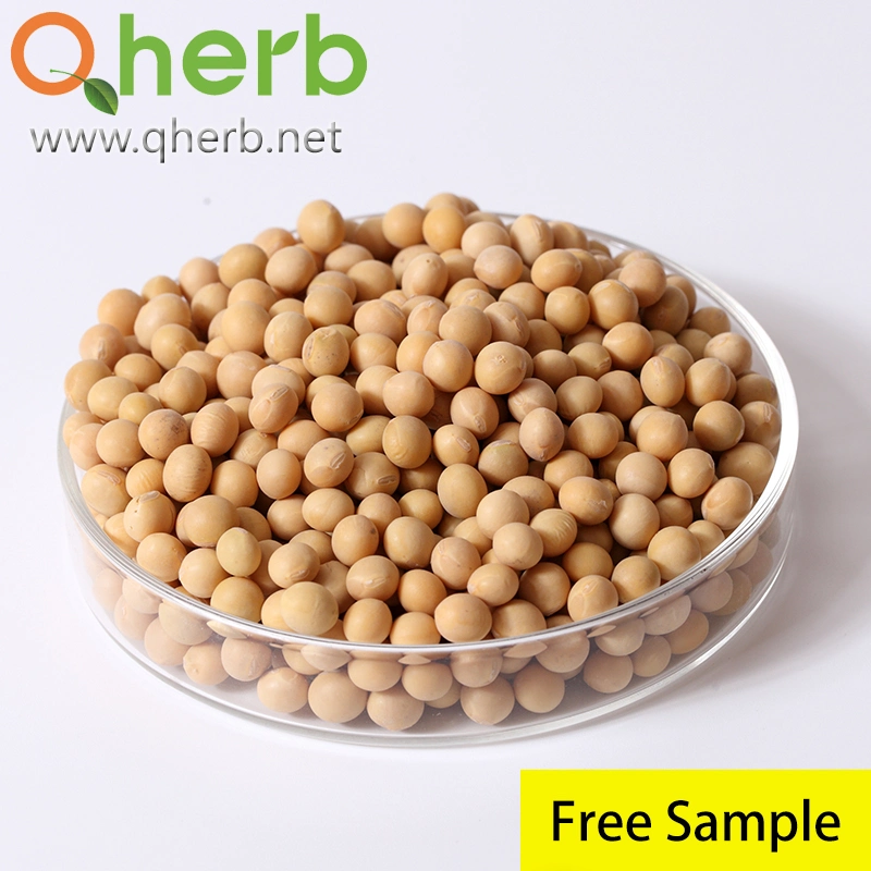 Health Food Soy Bean Extract with 40% Isoflavones (Embryo)