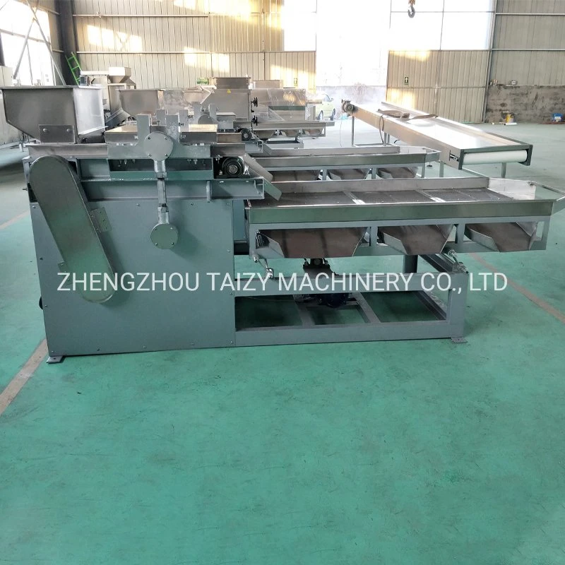 Almond Cutter Peanut Crushing Machine Walnut Chopping Machine