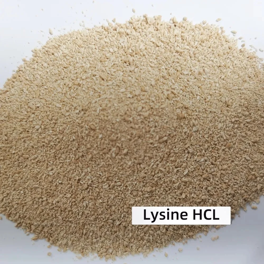 Venta en caliente L-Lysine HCl 98,5% Grado de alimentación CAS 657-27-2