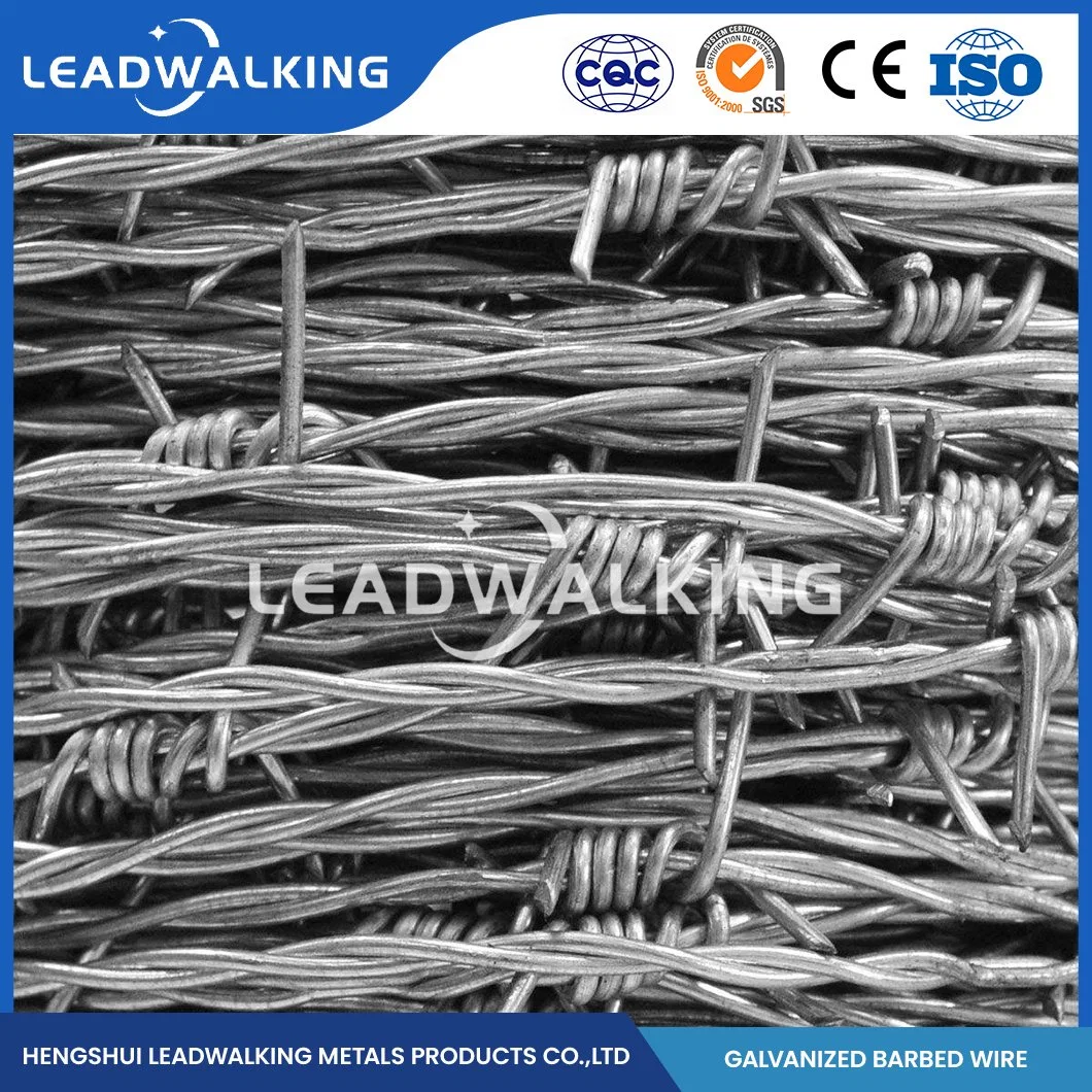 Leadwalking más barato Barbed Wire Rolls Factory al por mayor mejor precio galvanizado Navaja alambre de barbero China conservante alambre de barbero galvanizado caliente