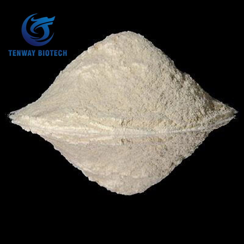 Natural Cosmetic Raw Material Thickener Pure Xanthan Gum 200mesh in Bulk Package 25kg at Factory Price