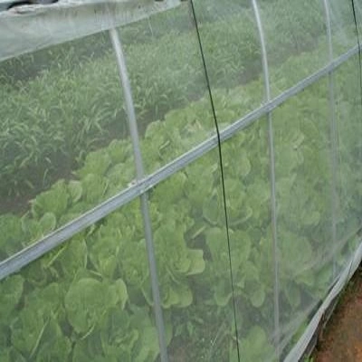Greenhouse Insect Net Prevention